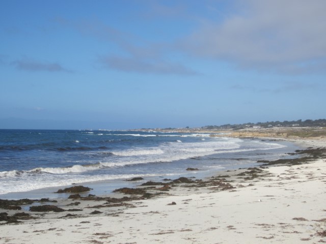 IMG_3392.JPG
